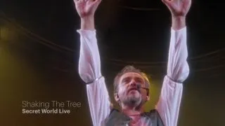 Peter Gabriel - Shaking The Tree (Secret World Live HD)