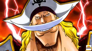 Der Schatz der Rocks Piraten! | One Piece 1096