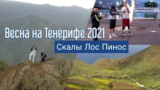 ВЕСНА на ТЕНЕРИФЕ 2021 | Скалы Лос Пинос | Протесты против масок | На Канарах