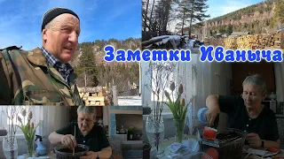 Посев томатов 2024 - семена, которые выбираем мы