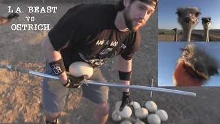 What Happens When A Human Tries to Steal Eggs From An Ostrich Nest | Ft. L.A. BEAST