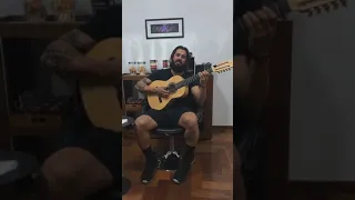 Pagodes de Viola Por - João Carreiro.