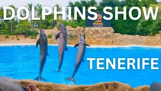 Full Dolphins Show At Loro Parque 4K | Tenerife