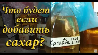 Что будет с вином если добавить сахар? Как довести вино под свой вкус!