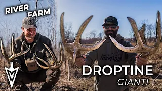 River Farm Drop Tine Giant Sheds MATCHED UP, 34 Deer Antlers In One Day #hunting #deerhunting