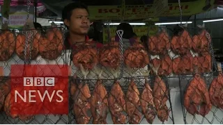 Indonesia: How motorbikes aid Ramadan fast-breakers - BBC News