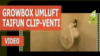 Growbox Umluft – Taifun Clipventilator