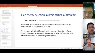 Free Energy Equation: Protein Folding & Assembly