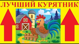 СОВРЕМЕННЫЙ КУРЯТНИК СВОИМИ РУКАМИ часть 1.