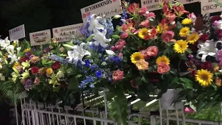 BEYOOOOONDS ビヨーンズ初単独日本武道館コンサートに届いた、お花たち。