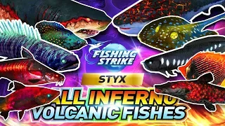 ALL INFERNO VOLCANIC FISHES CATCH IN STYX VOLCANIC ISLAND【釣魚大亨 Fishing Strike 피싱스트라이크】