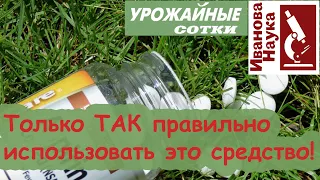 КОПЕЕЧНОЕ средство из аптеки убережет ДАЖЕ РОЗЫ! И УДИВИТЕ ВСЕХ ВАШИМ УРОЖАЕМ!