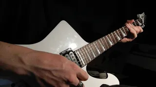 Madball - Heaven Hell Guitar Cover Revisit