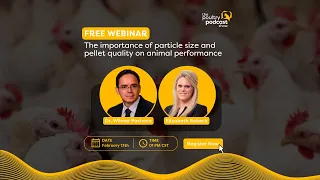 Webinar - The importance of particle size and pellet quality on animal performance