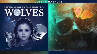 "Without the Wolves" | Mashup of Halsey, Selena Gomez & Marshmello