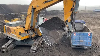 Liebherr 974 Excavator And Caterpillar 988F Wheel Loader Loading Coal On Trucks - Labrianidis Mining