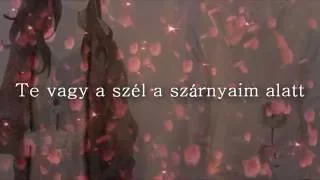 Ends With A Bullet - Within My Heart /Magyar Szöveggel/