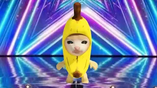 Banana Cat sings Happy Happy Song At America's Got Talent⭐