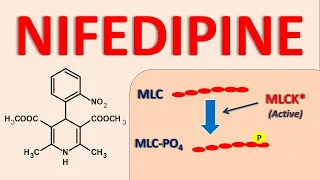 Nifedipine - Mechanism, side effects and uses