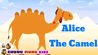 Alice The Camel Chunu Munu Kids Nursery rhymes and kids songs with lyrics