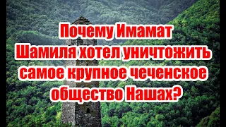 Почему Имамат Шамиля чуть почти полностью не уничтожил самое крупное чеченское общество?