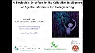 "A bioelectric interface to the collective intelligence of agential materials for bioengineering"