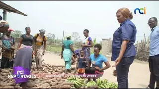 NCI Reportages | Lôgôdougou, les héroïnes du vivrier