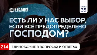 Вопрос 214. Есть ли у нас выбор, если всё предопределено Господом? Единобожие в вопросах и ответах