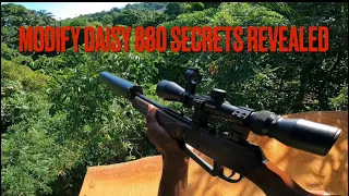 Modify Daisy 880 Secrets revealed