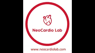 Views and measurements in neonatal echocardiography Part 1
