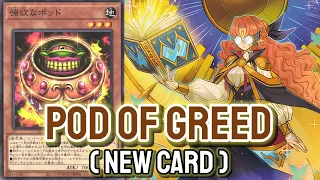 YGOPRO - Pod of Greed | Prediction Princess Apr.2023 | Testing Deck & New Card