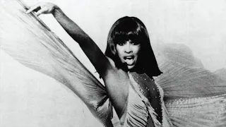 Tina Turner — In Your Wildest Dreams (Pleasant Instrumental)