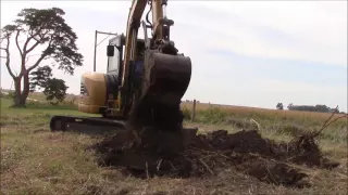 Stump Removal with a Cat 305CCR
