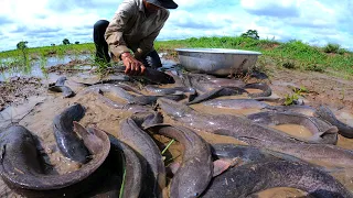 wow amazing fishing! a fisherman catch catfish a lot in rainy season by technique hand