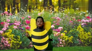 Honeybee for fancy dress competition.