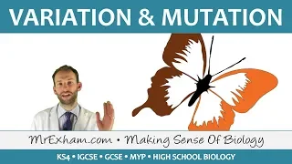 Variation and Mutation - GCSE Biology (9-1)