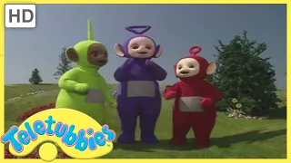 ★ Teletubbies English Episodes ★ Blackberry Picking ★ Full Episode - HD (S08 E194)