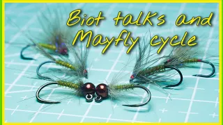 Biot talks and Mayfly cycle