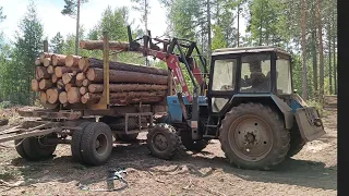 Долгожданный ролик, заготовка леса