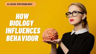 Biological Approach | Approaches | AQA Psychology | A-level