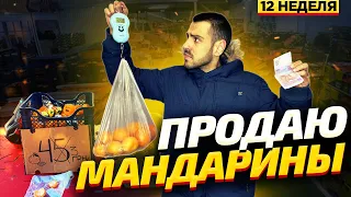 Сколько можно заработать торгуя мандаринами под Новый Год?