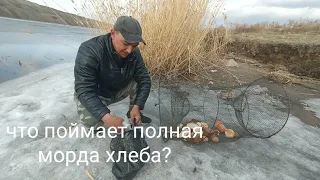 ПОЛНАЯ МОРДУШКА ХЛЕБОМ , КАКОЙ БУДЕТ РЕЗУЛЬТАТ? ЛОВЛЯ КАРАСЯ НА МОРДУ.Я УТОНУЛ))