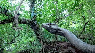 男人砸破蛇蛋害死小蛇！巨蟒為小蛇報仇報復旅遊團！ 【蛇島狂蟒 Snake Island Python】|驚悚 災難 |【電影派對】