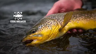 Catching BIG Brown Trout - Euro Nymphing in Wild Spring Weather-  Code Breaker Angler