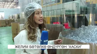 NewTV: Хаски ботолко чыгарууда