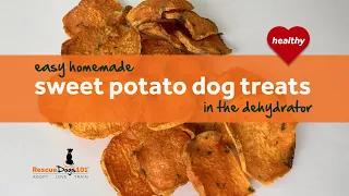 Easy sweet potato dog treats for your dog