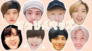 すっぴんキッズ / straykids スキズ 日本語字幕