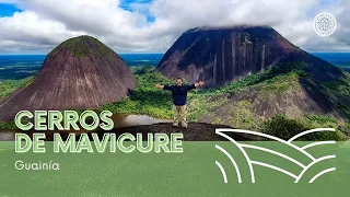 Cerros de Mavicure: expedición al Guainía, la selva y el Escudo Guayanés en Colombia