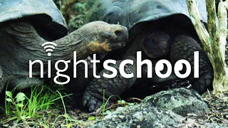 NightSchool: Galápagos Islands