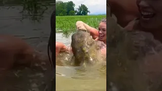 Catfish Noodling GONE WRONG 🐟 #fishing #gonewrong #shorts